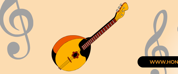 خرید سه تار مبتدی